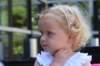 img_9537c_small.jpg